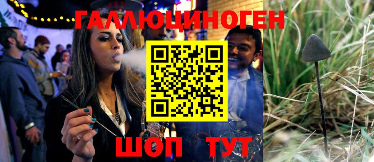 Псилоцибиновые грибы MAGIC MUSHROOMS Конаково