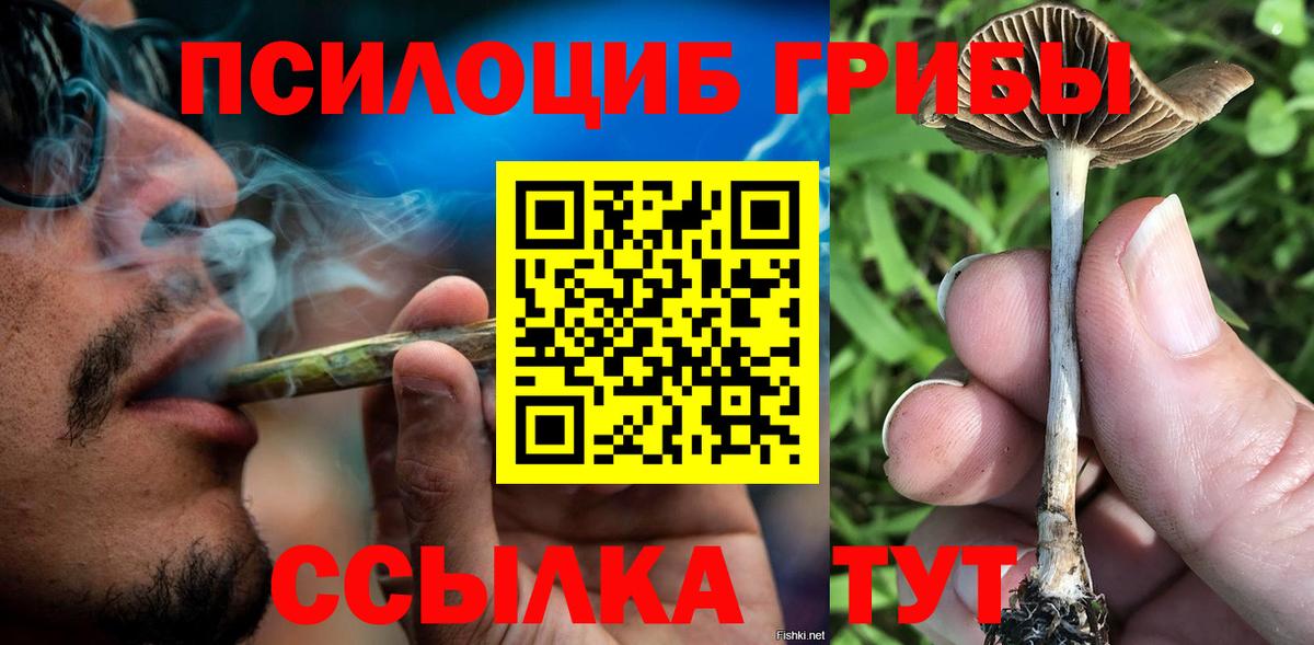 Псилоцибиновые грибы GOLDEN TEACHER  Галлюциногенные грибы мухоморы  Вход с VPN  Конаково 